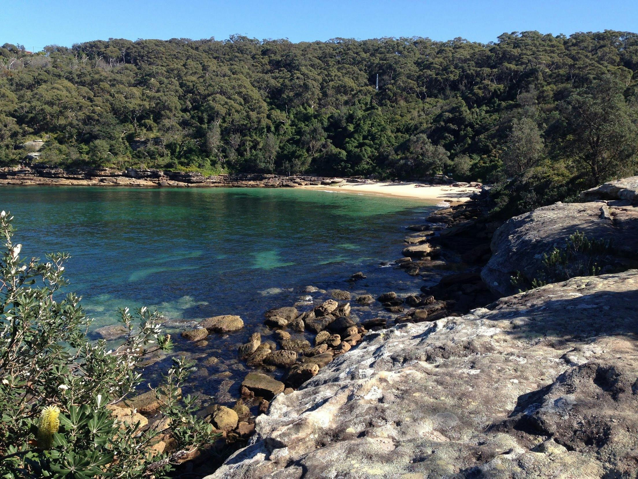 Natural connections between the intricate sandstone sea cliffs and beaches with coastal heath plants