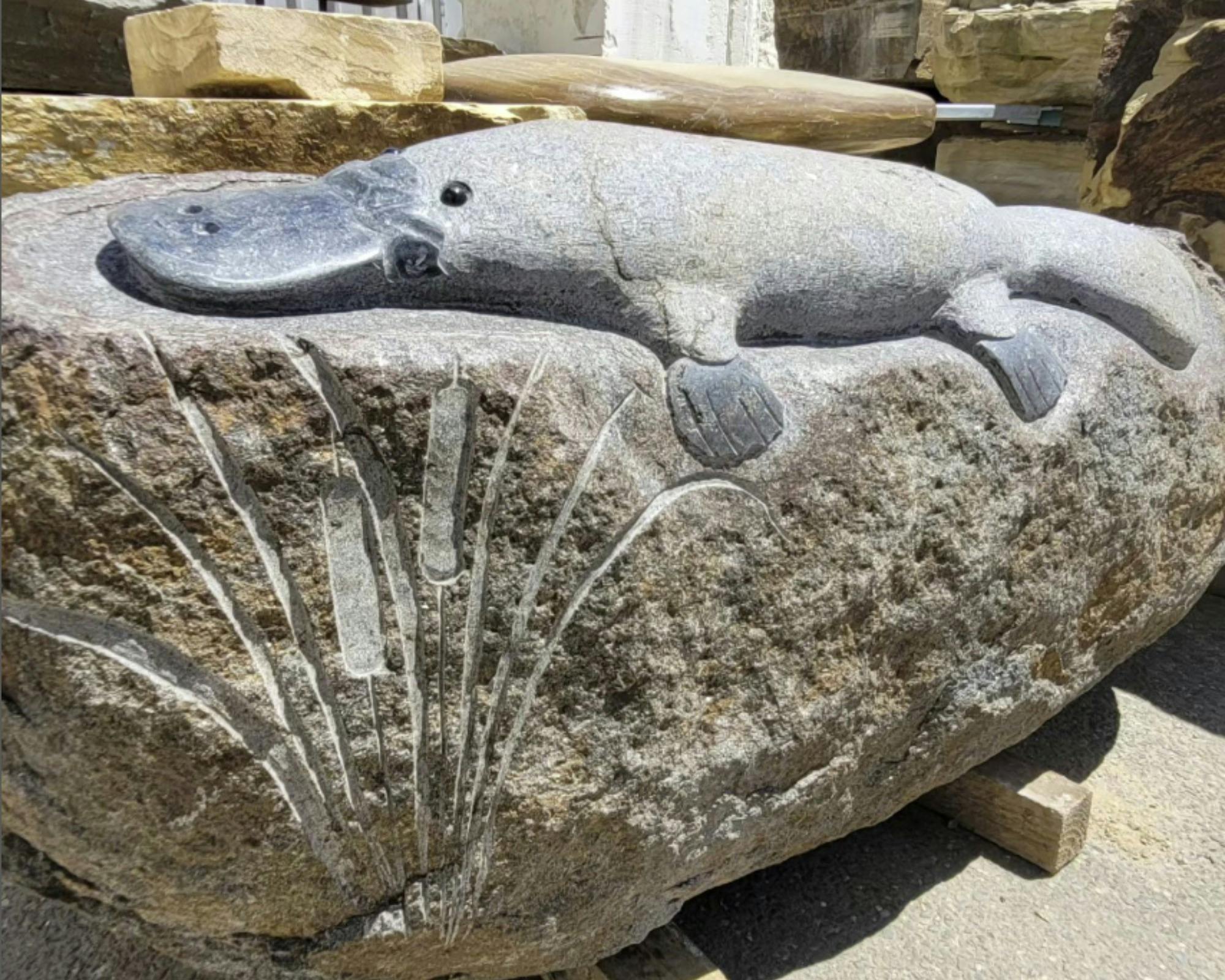 Platypus carved into granite stone