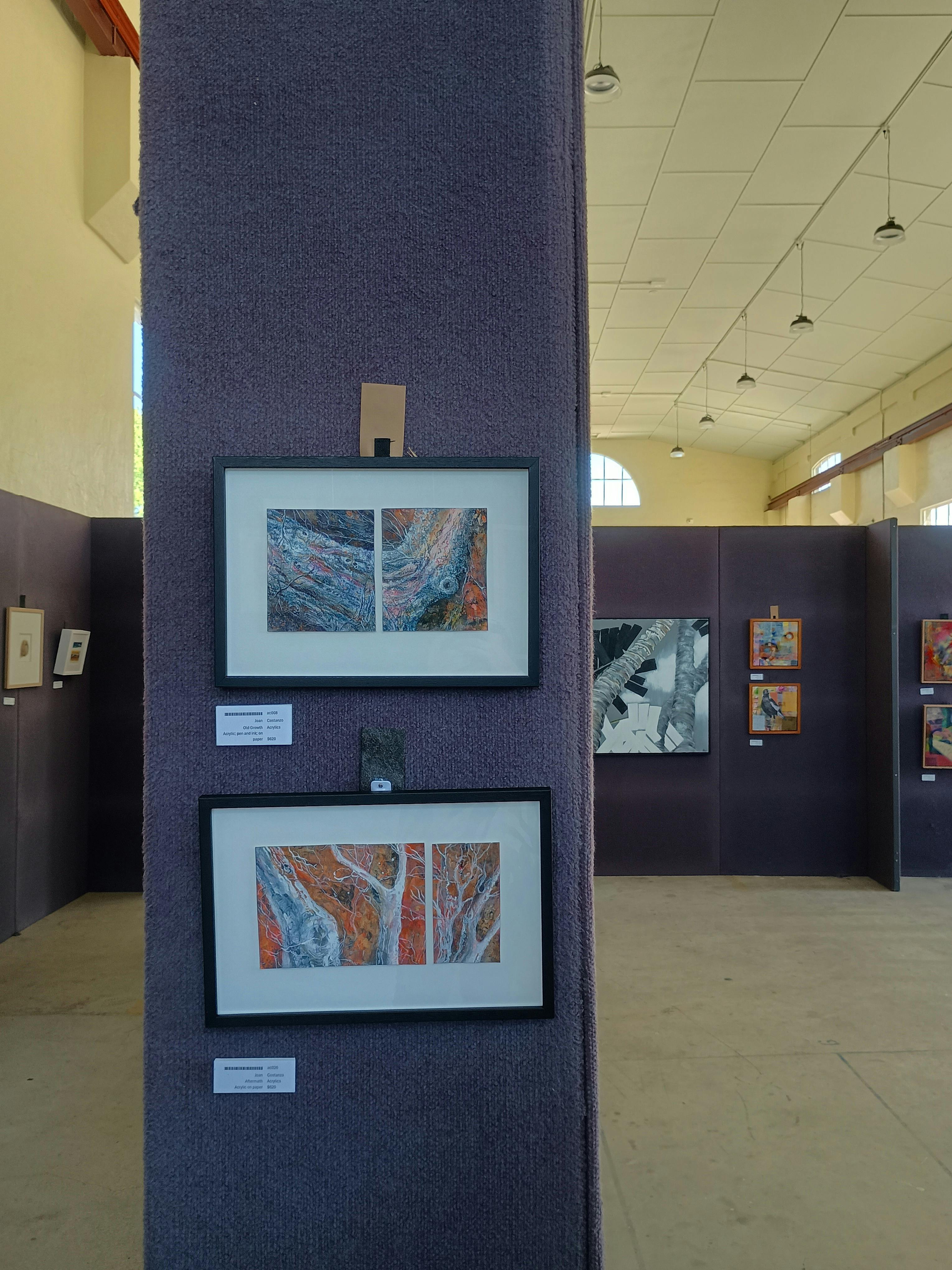 Some of the artworks displayed at the ASOC Spring Exhibition in 2025
