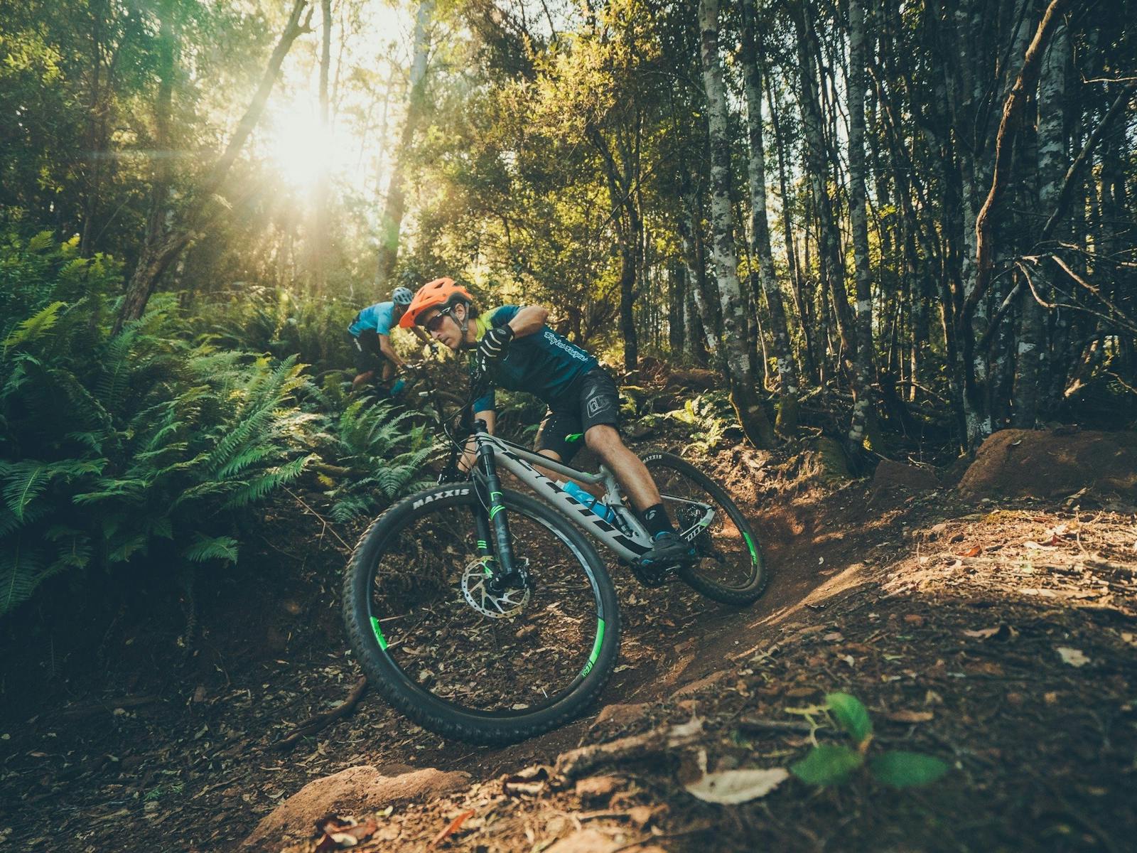 Men riding mountain bikes in the forest
