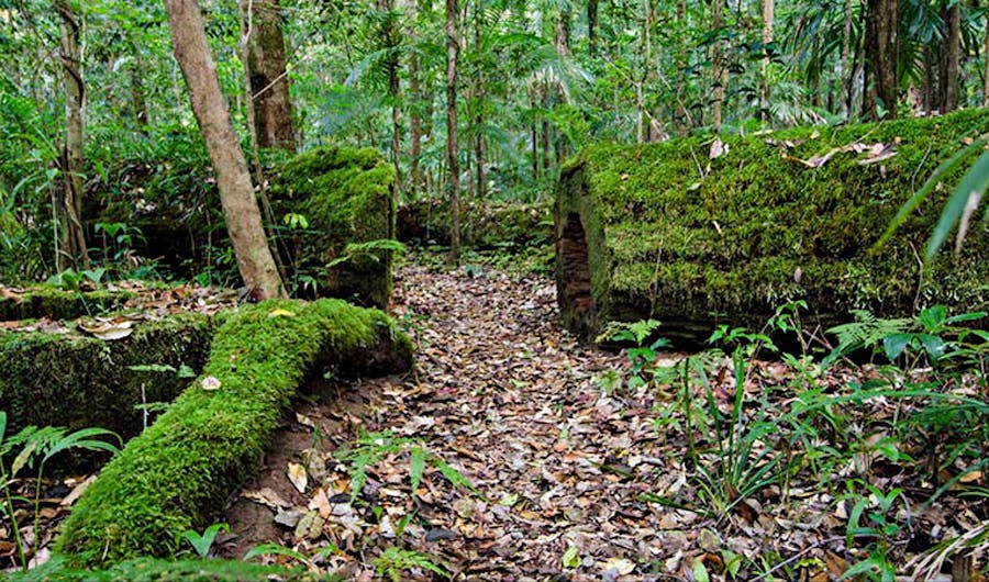 Palm Grove Walk Palm Grove Walk