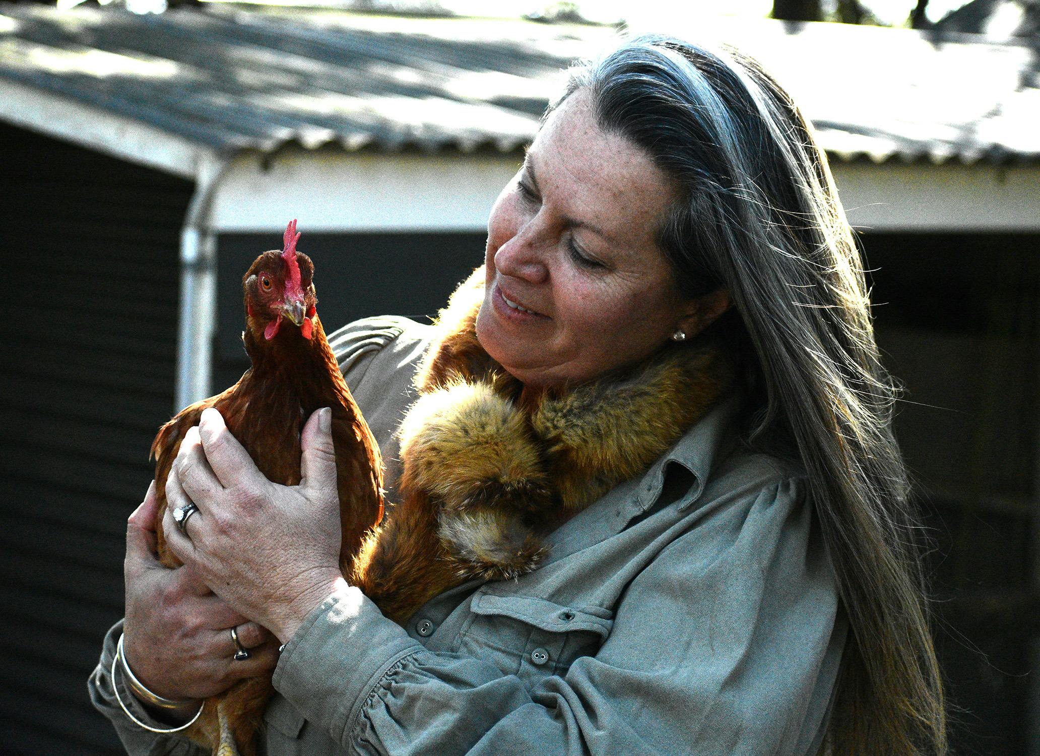 chicken having a cuddle