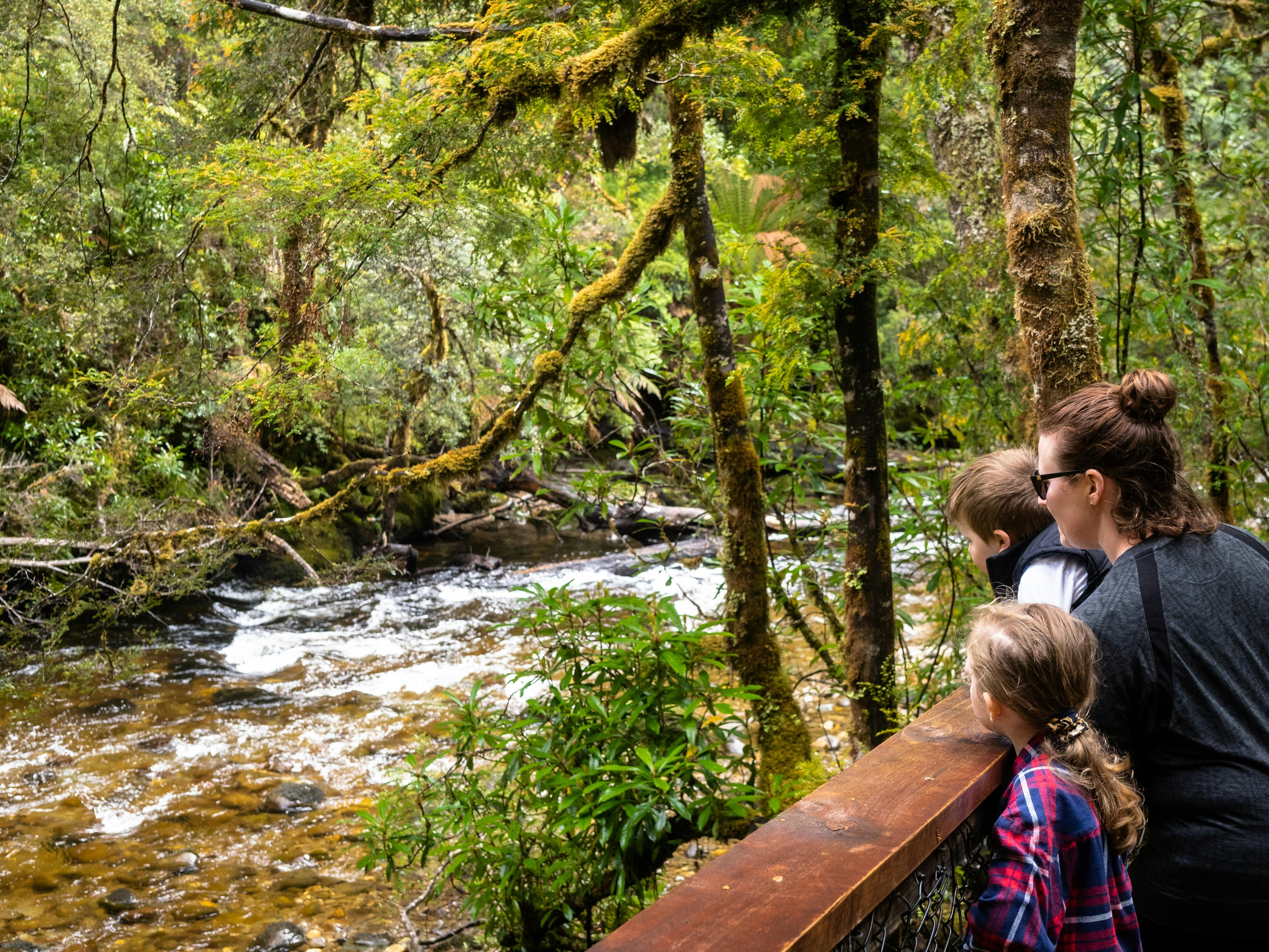 Franklin Nature Trail - Great Short Walk