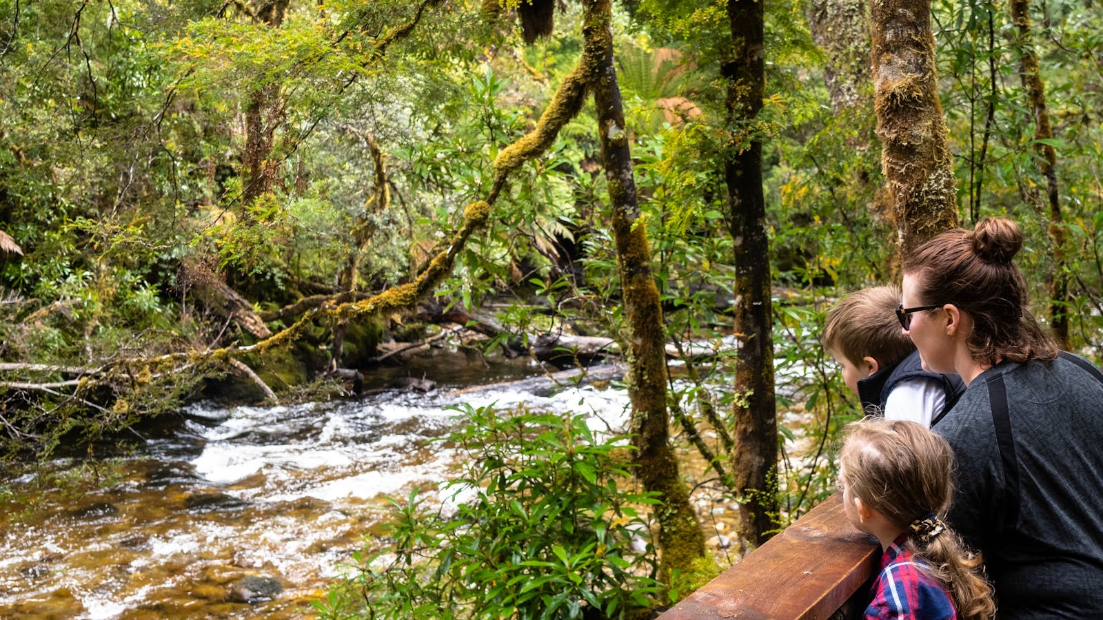 Franklin Nature Trail - Great Short Walk