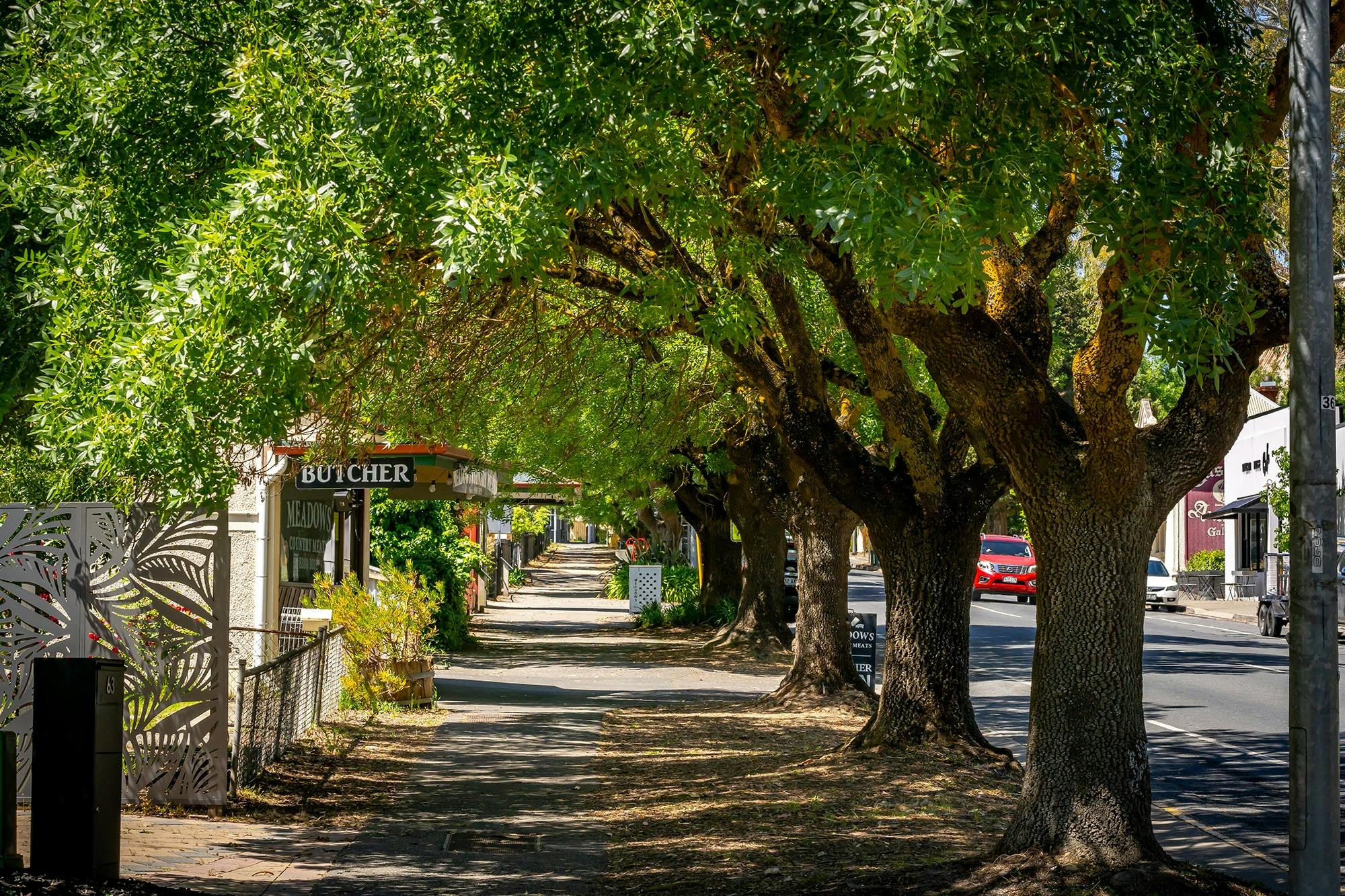 Meadows Main Street