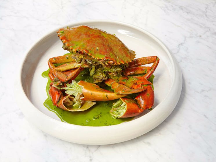 N.T. Mud Crab + Green Garlic + Tarragon
