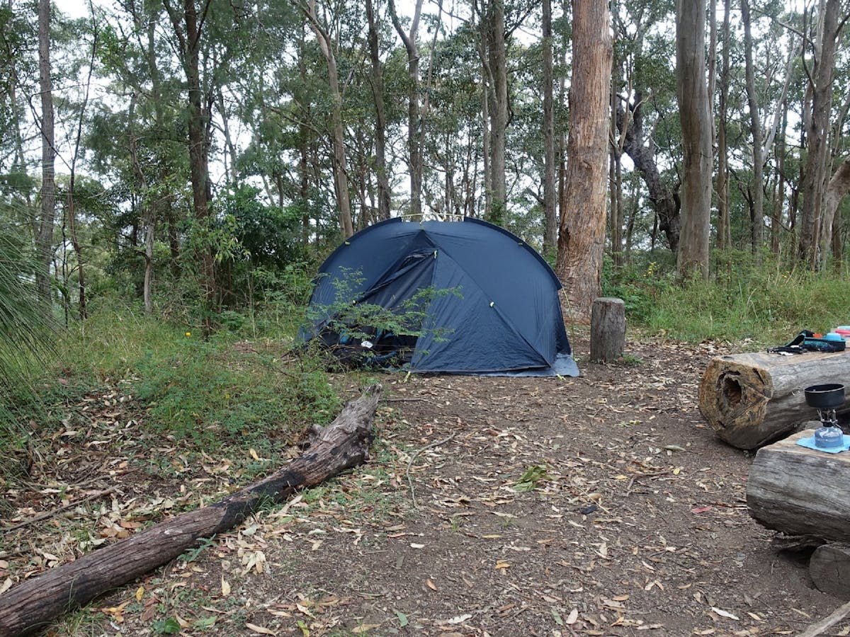 A tent set up in Northbrook Mountain Bush Camp