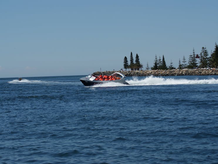 JetBuzz Watersports