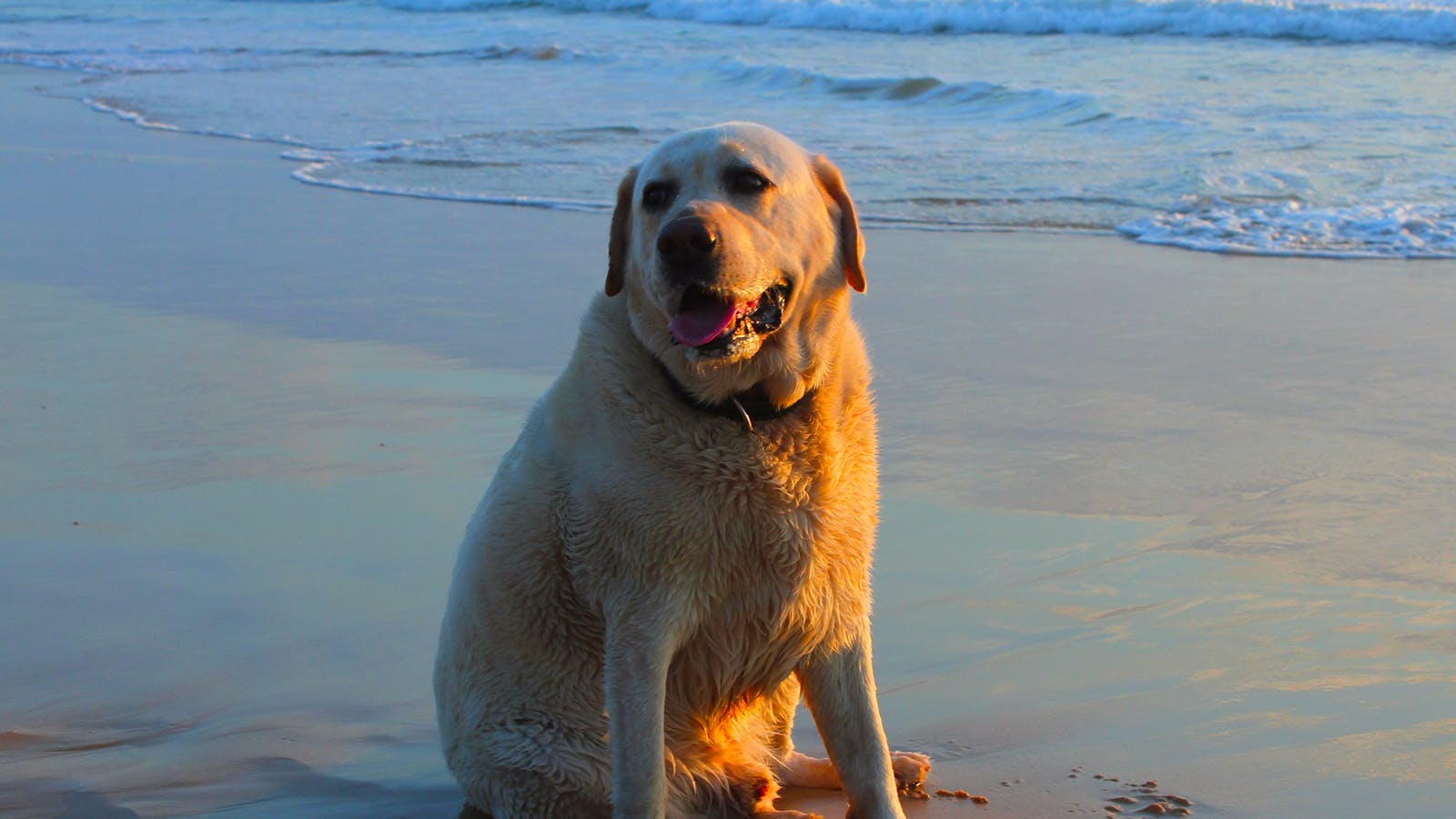 Dump Beach