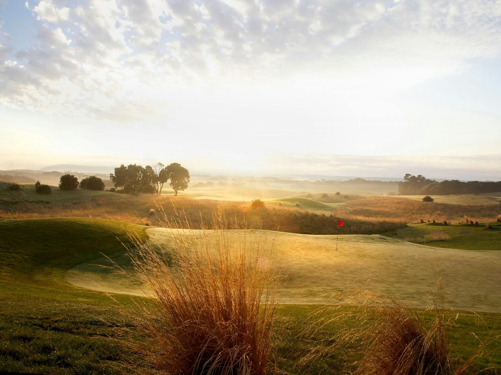 Mornington Peninsula Golf Tour