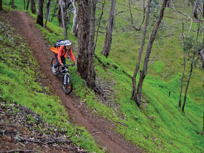 MTB Navigation Treasure Hunt