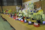 A variety of displays entered into the Agricultural show including flowersg