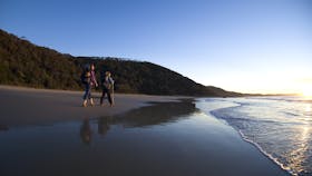 Wilderness Coast Walk