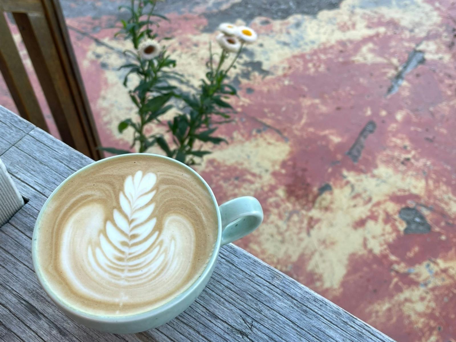 Lottie Lane Coffee Roasters
