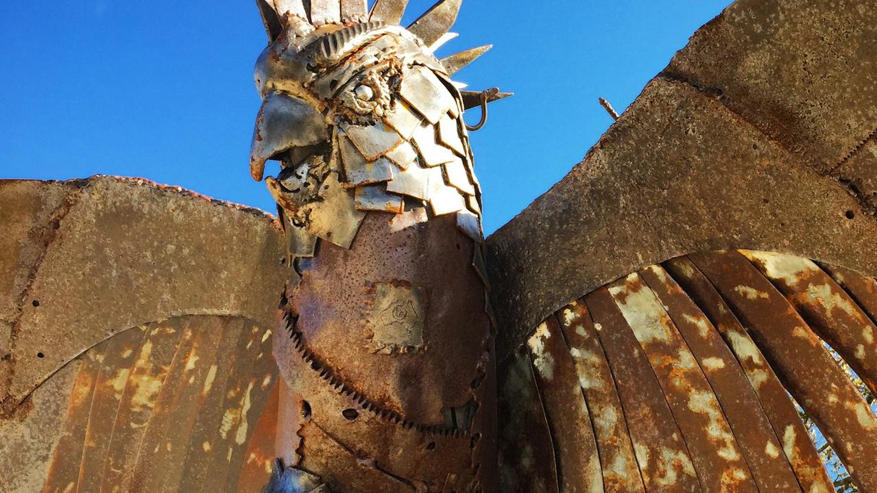Rusty Cockatoor by Sean Meany