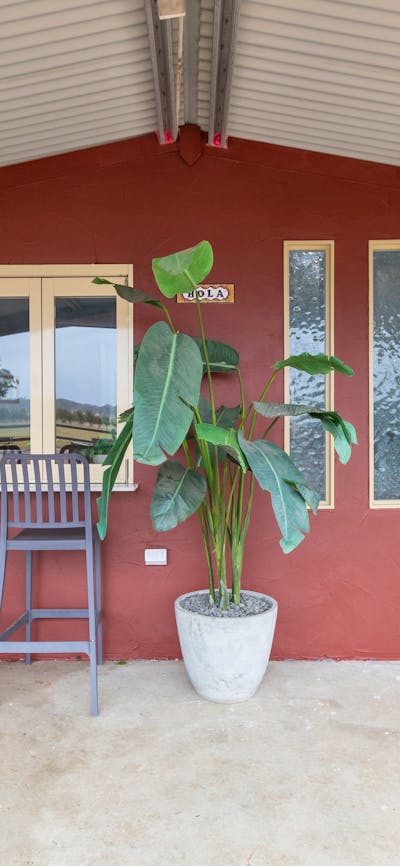 Units 1 and 2 front entry, left is Le Roi Burrow, right is La Dame Burrow