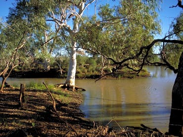 melaluca lined waterhole melaluca lined waterhole