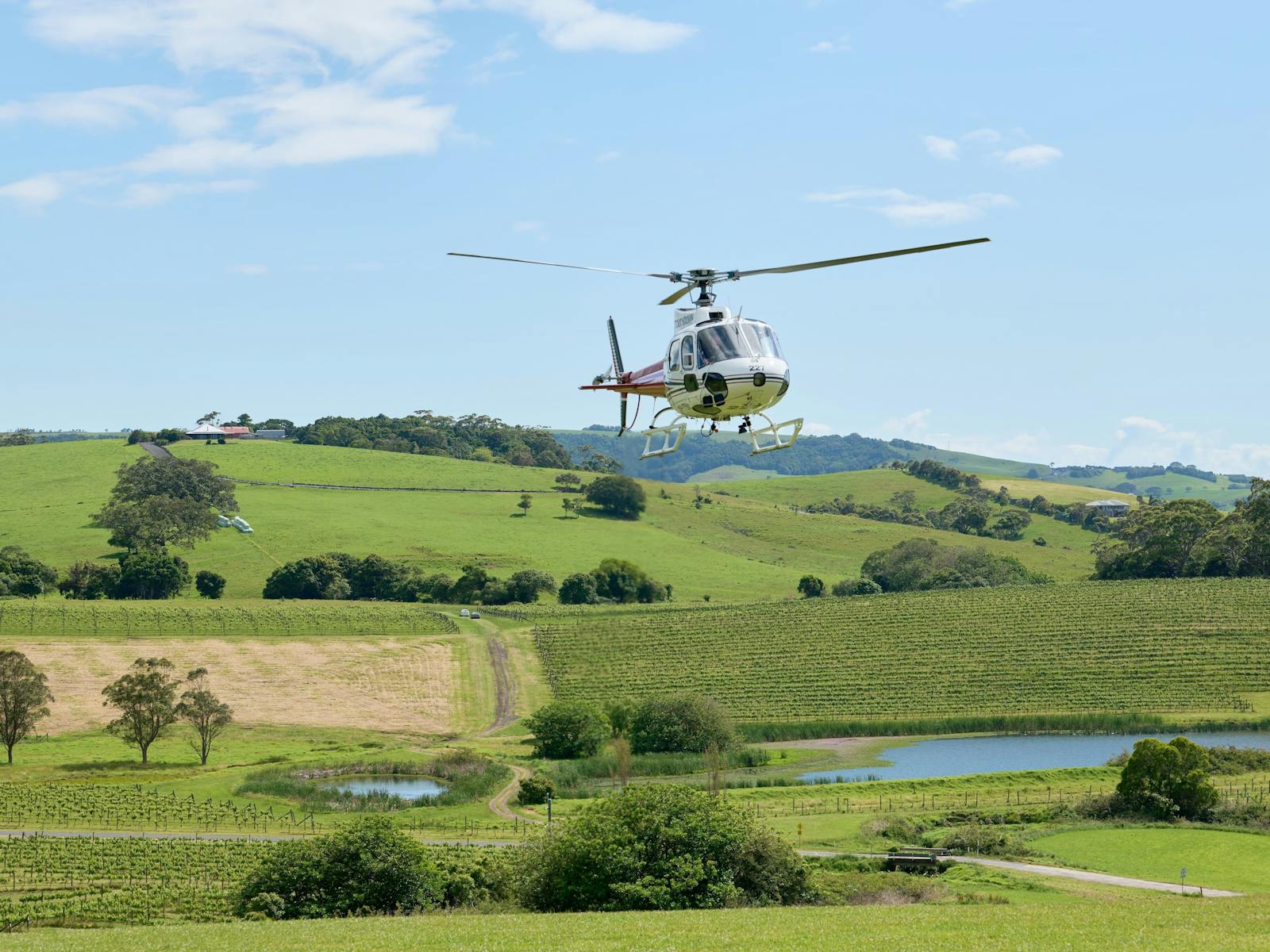 Albion Park, South Coast