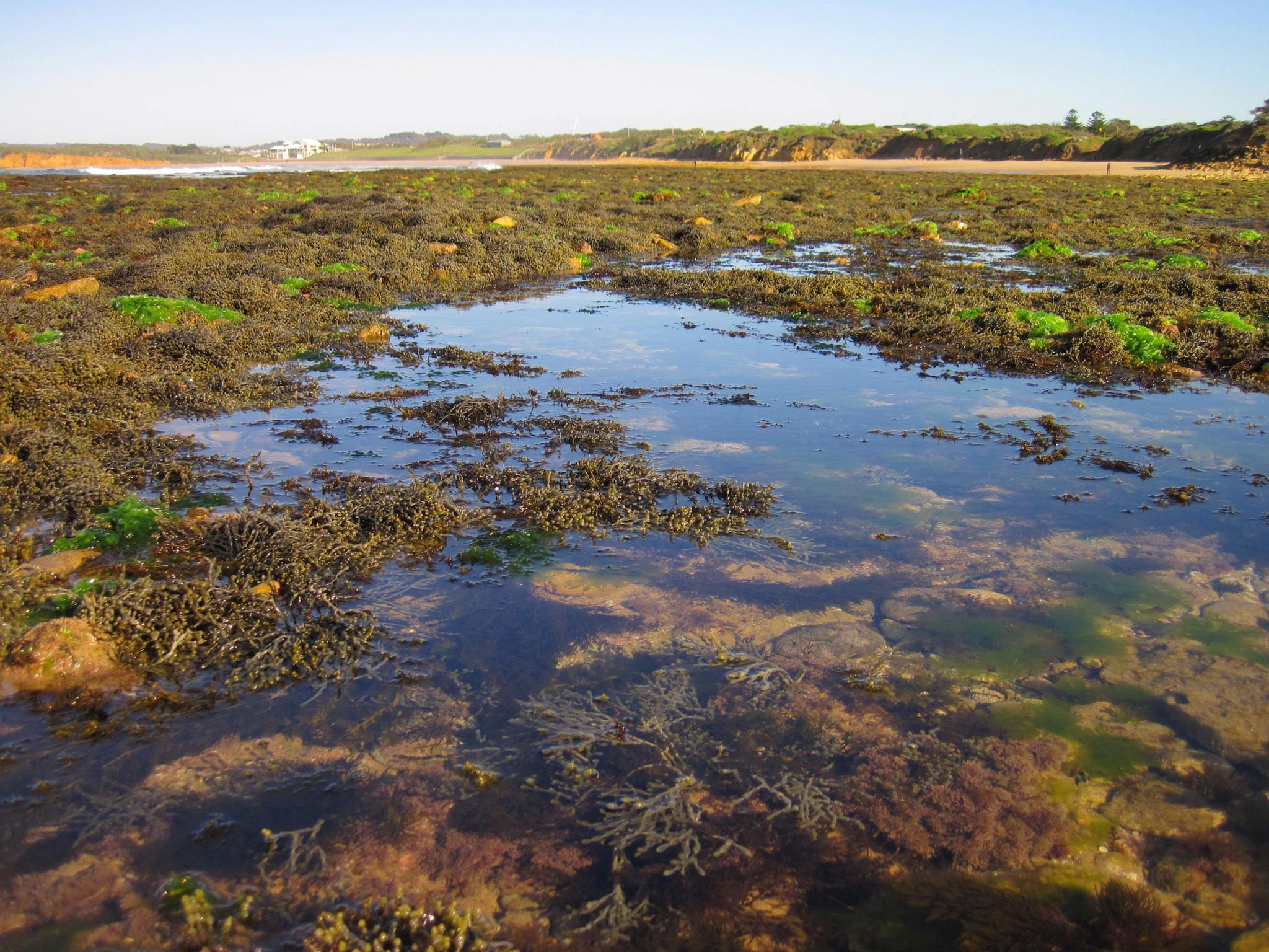 Point Danger Marine Sanctuary