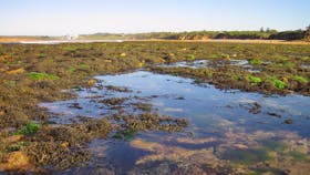 Point Danger Marine Sanctuary