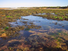 Point Danger Marine Sanctuary