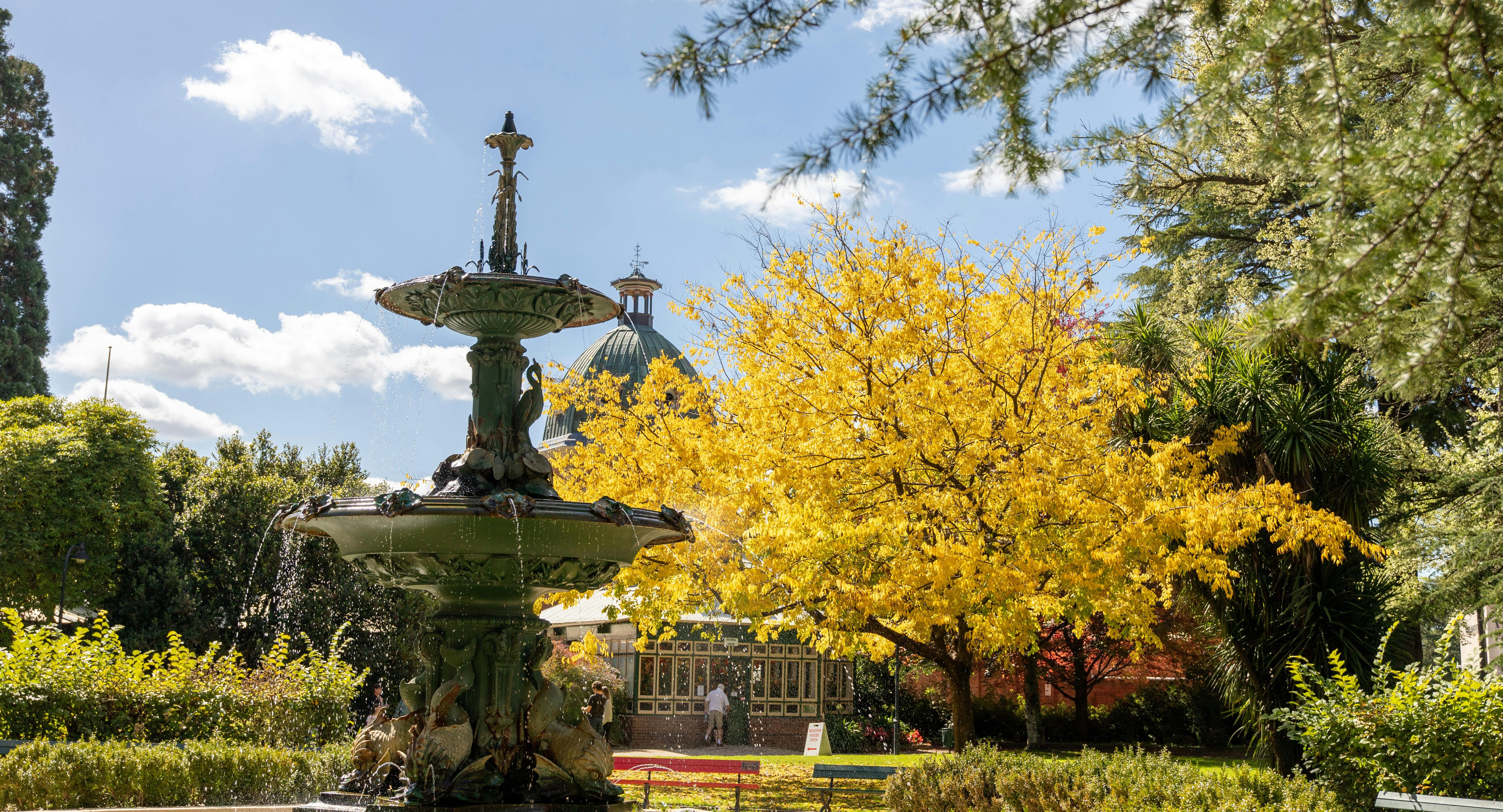 Machattie Park Fountain in Autumn