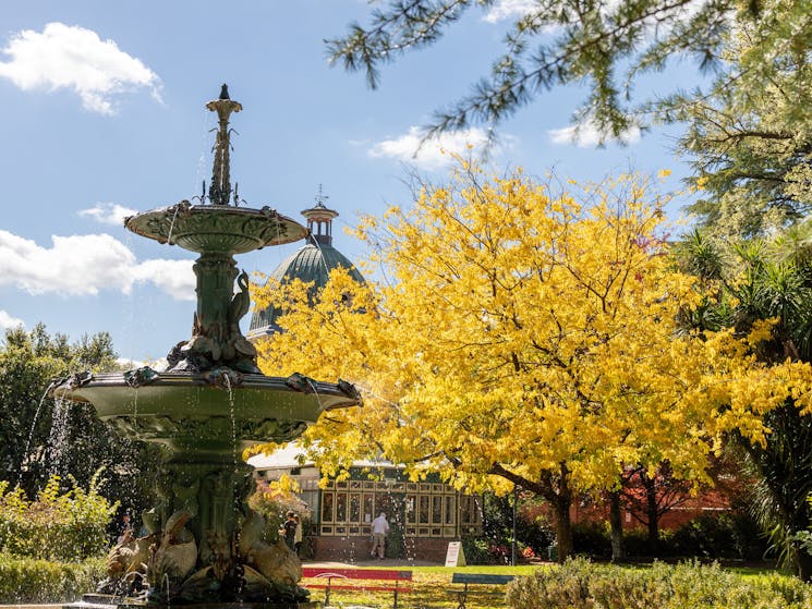 Machattie Park Fountain in Autumn