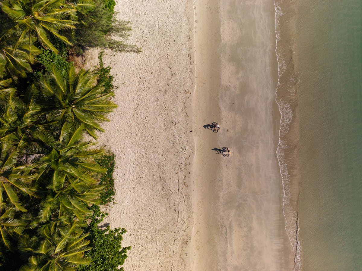 Cape Tribulation
