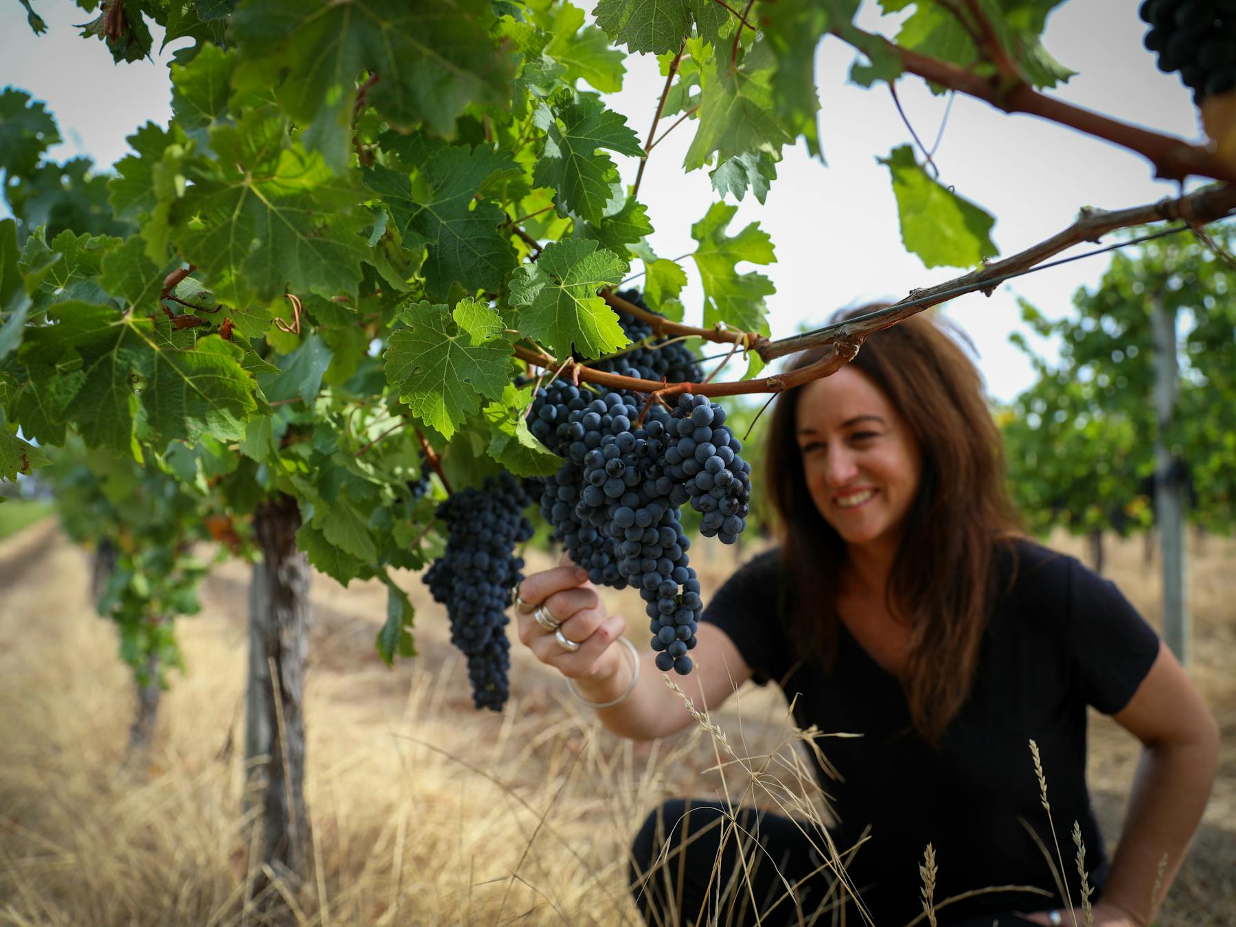 Vasse Felix, Margaret River, Ultimate Winery Experiences Australia