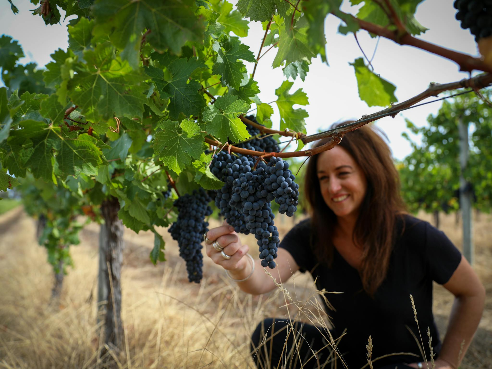 Vasse Felix, Margaret River, Ultimate Winery Experiences Australia