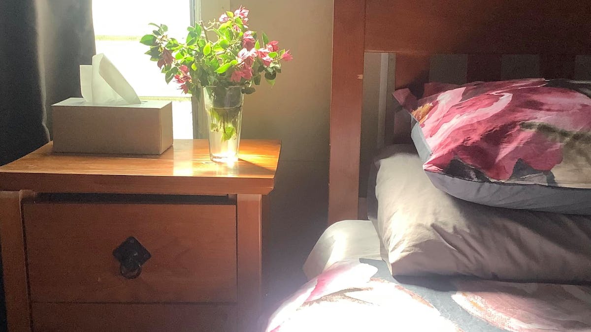 Premier Studio Cabin Flowers