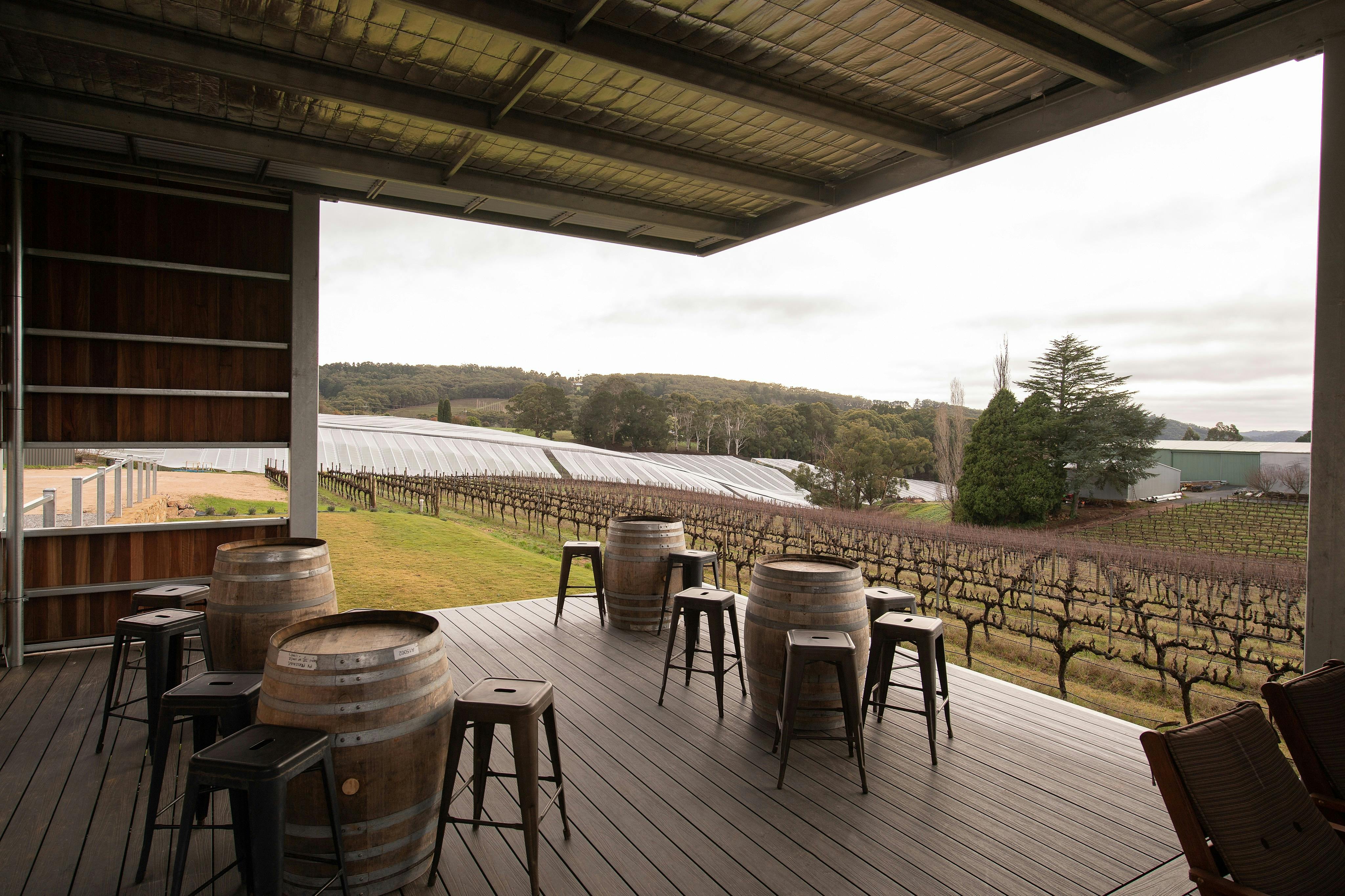 Cellar Door