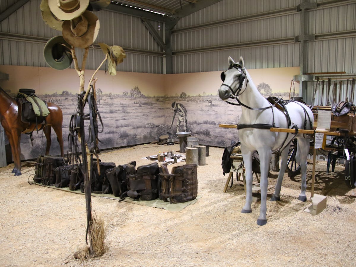 Packhorse night camp scene