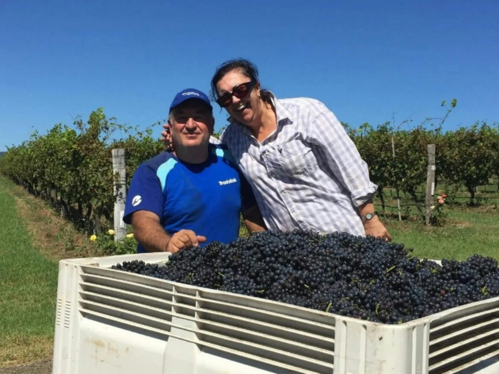 Mira Wines