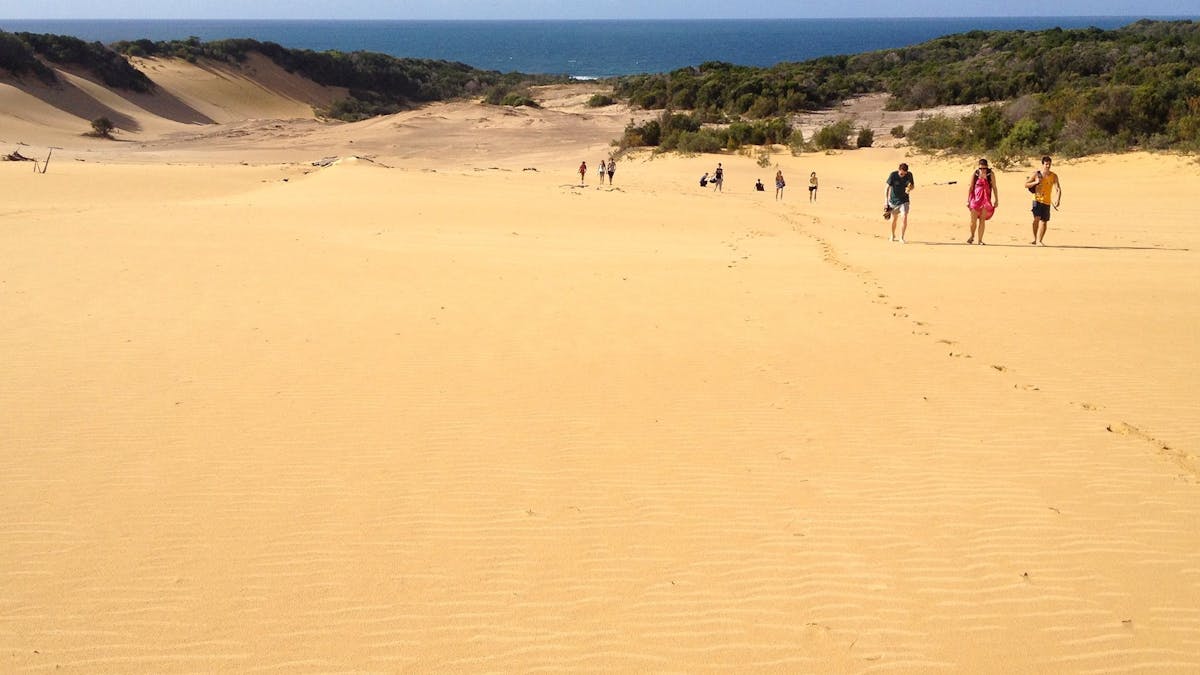 Visitors walking across a sand dune