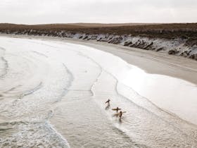 Sparkling set of waves with surfers on the beach