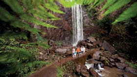 Four adults and two children crossing creek below falls.