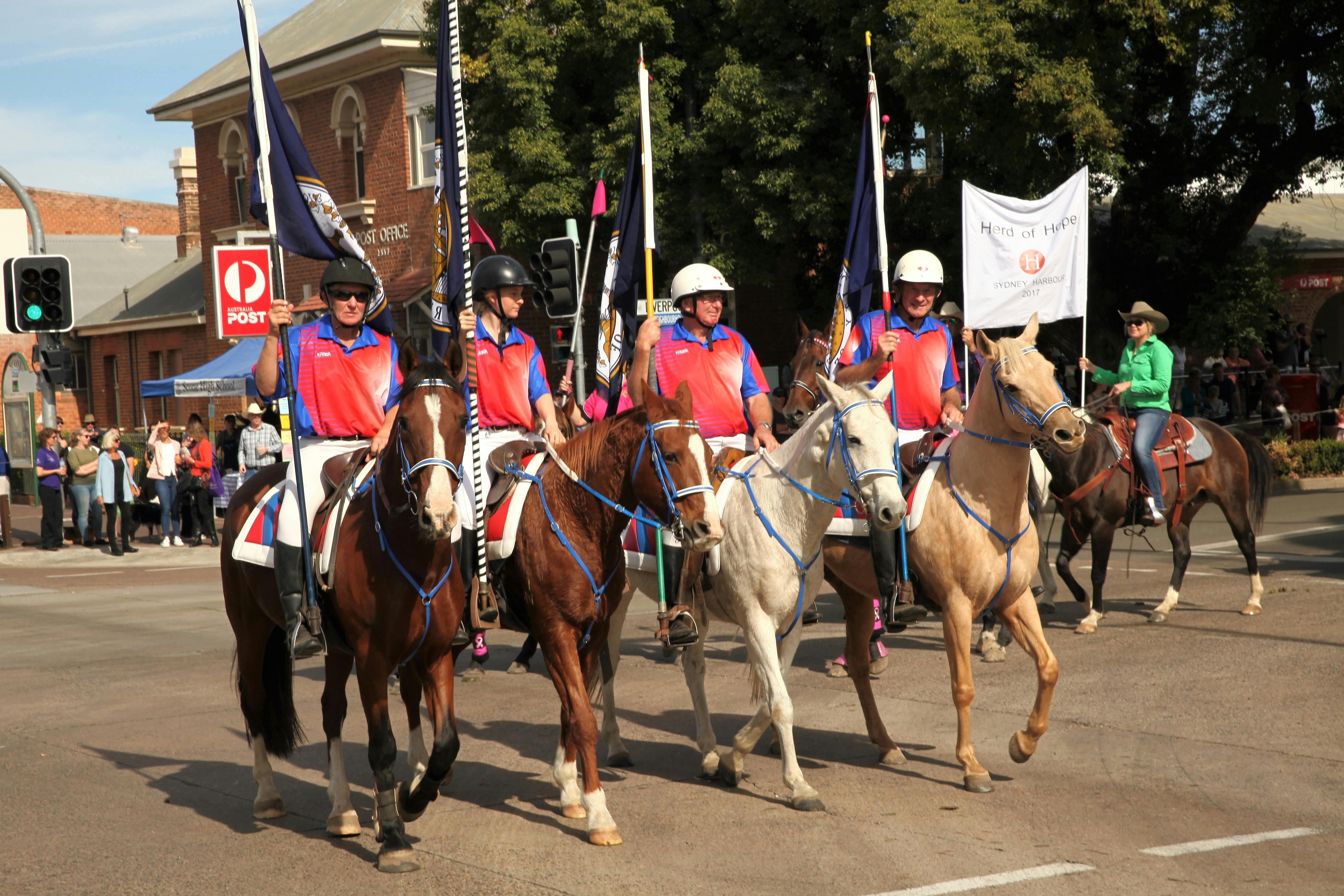 Scone Horse Festival NSW Holidays & Things to Do