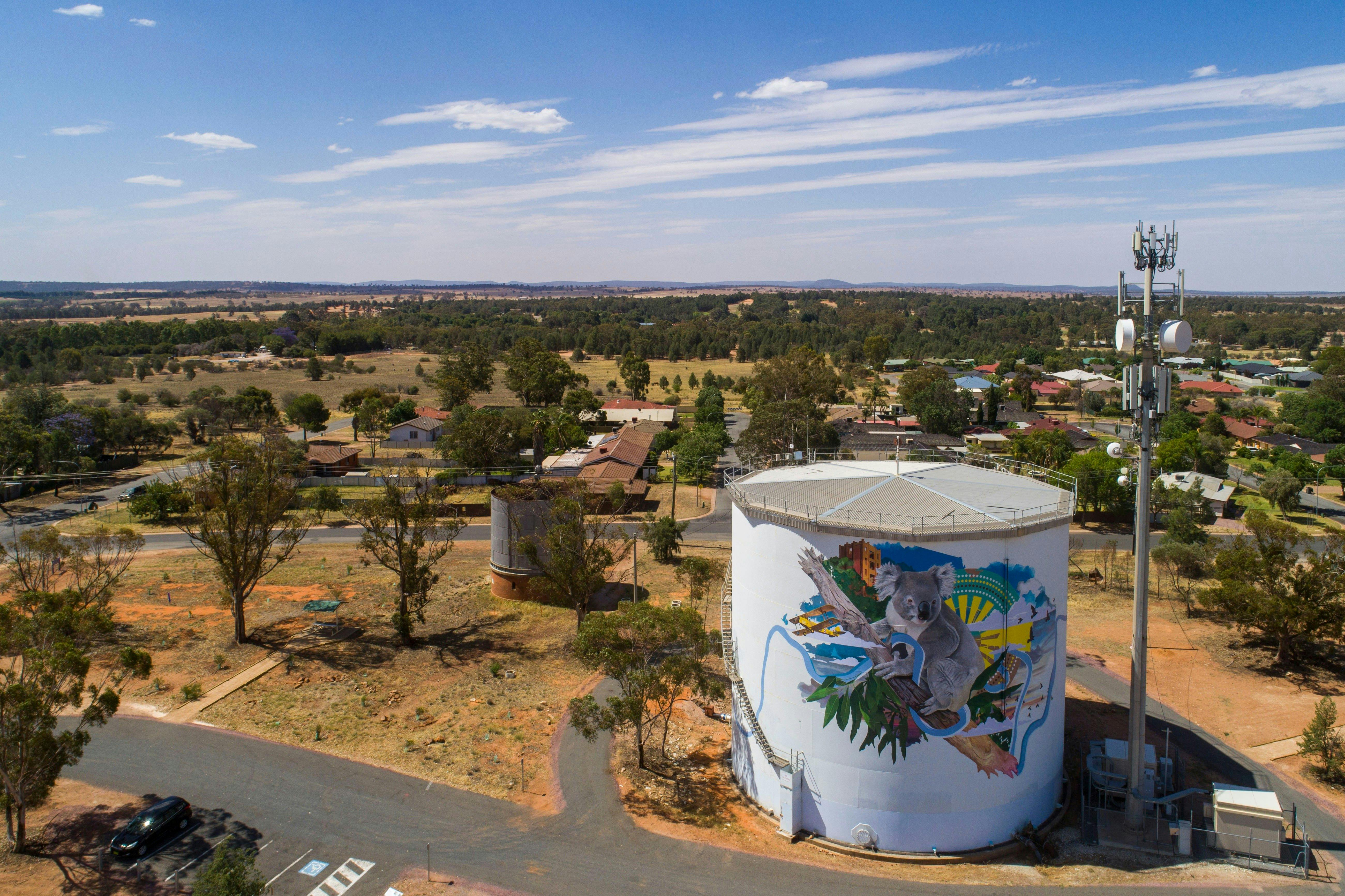 Aerial view of the Narrandera Water Tower koala mural