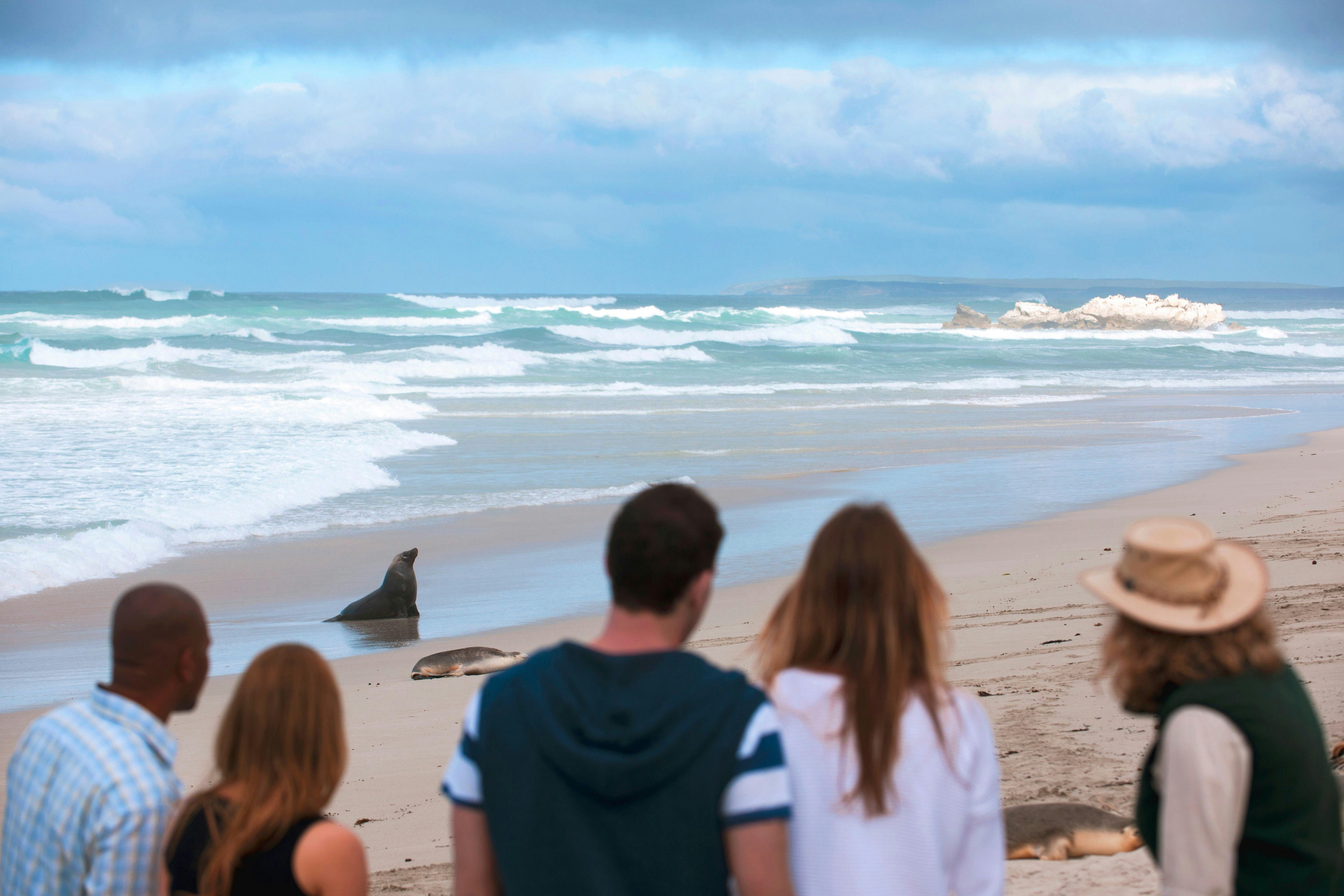 5-day Eco Tour on Kangaroo Island ex Adelaide