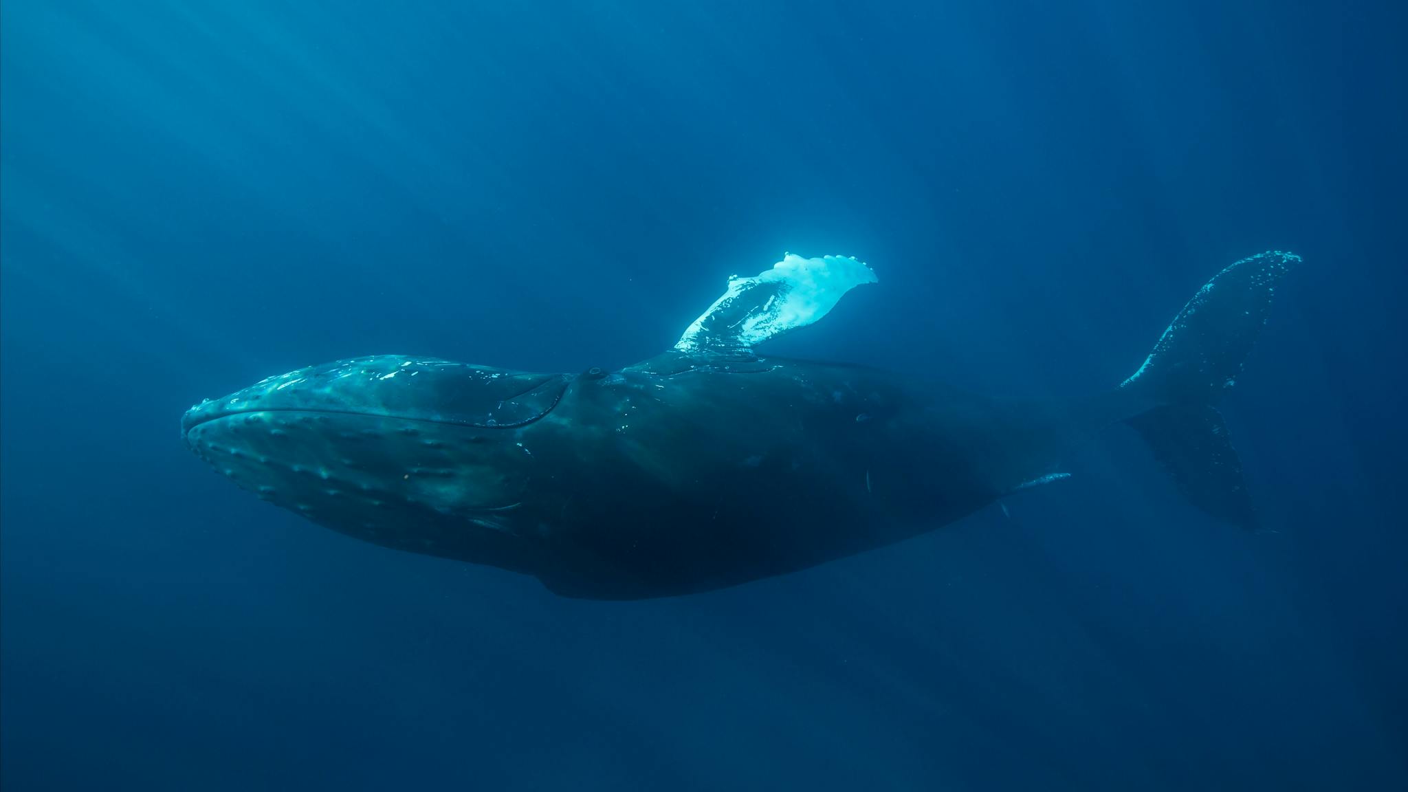 Ocean Eco Adventures, Exmouth, Western Australia