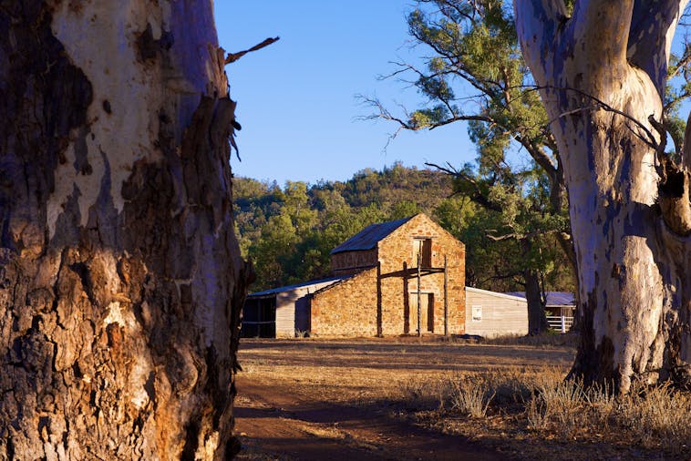 Old Wilpena Station