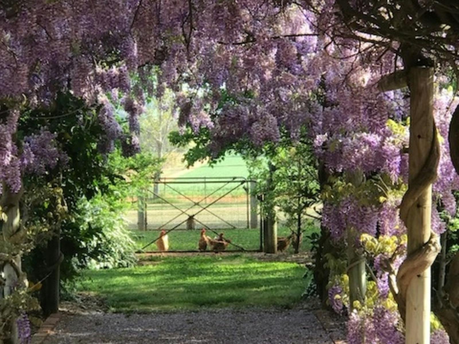 Image for Holbrook Open Gardens