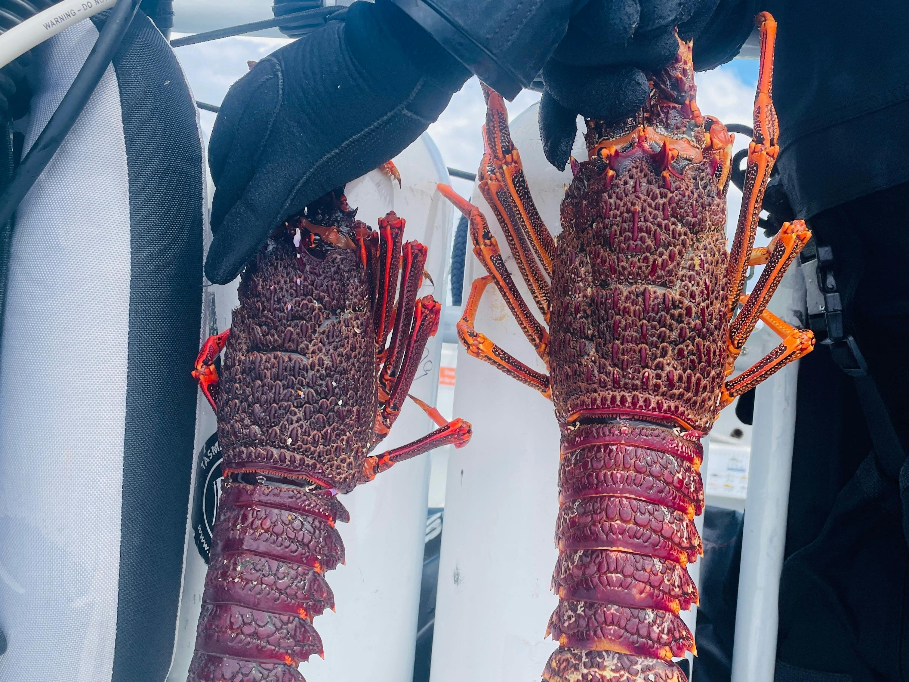 Use our free onboard kitchen to cook and share your catch with loved ones!