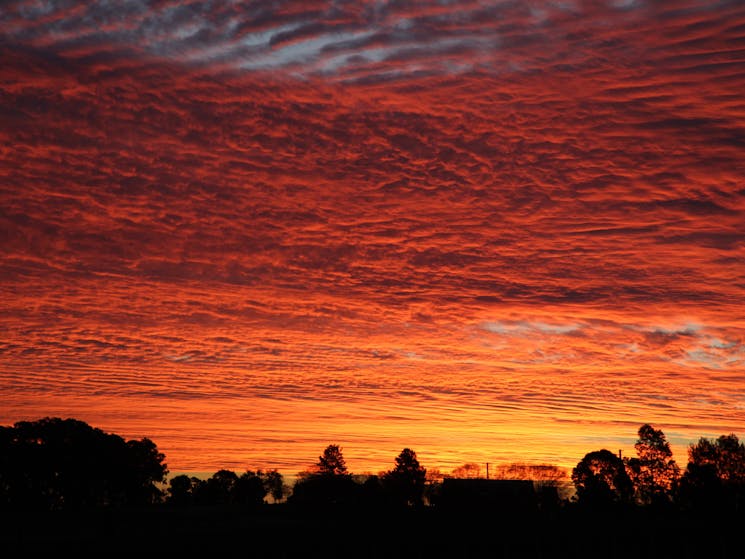 A stunning sunset in the Hunter Valley