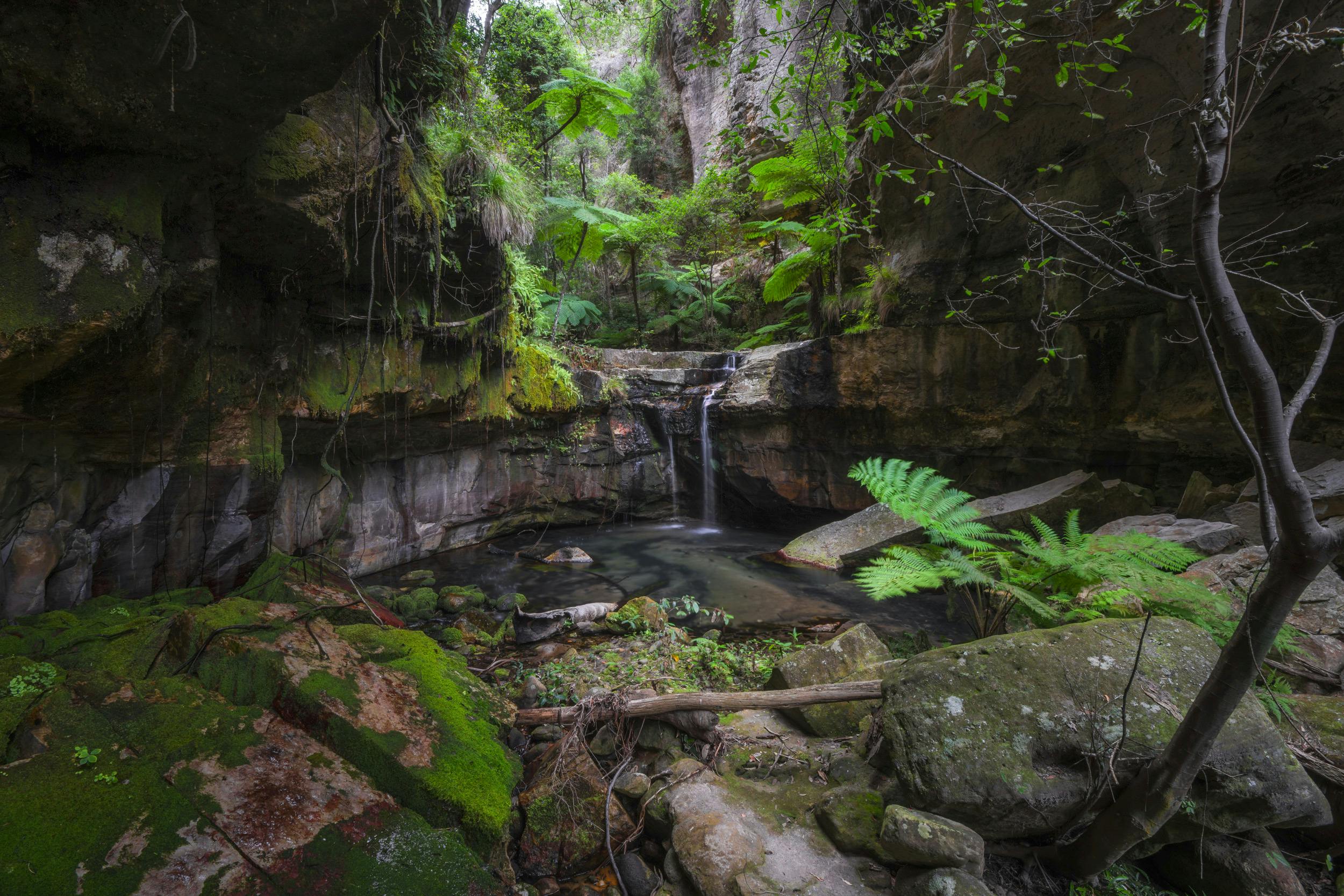Small waterfall, surrounded by narrow sandstone cliffs and rainforest, runs into stunning waterhole.