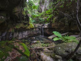 Small waterfall, surrounded by narrow sandstone cliffs and rainforest, runs into stunning waterhole.