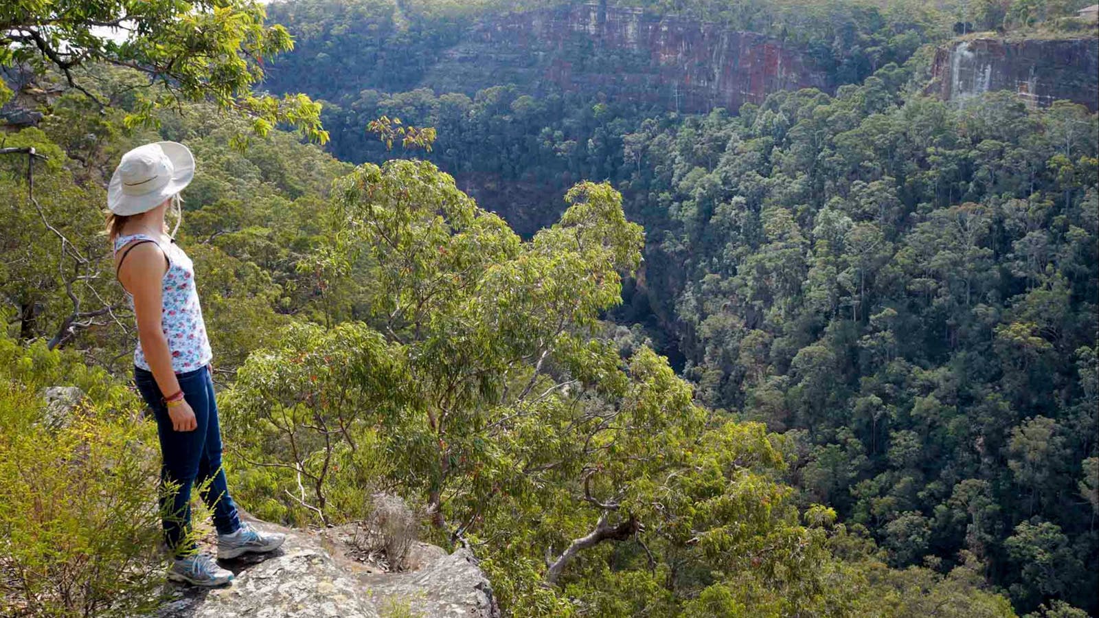 Glenbrook Gorge Track
