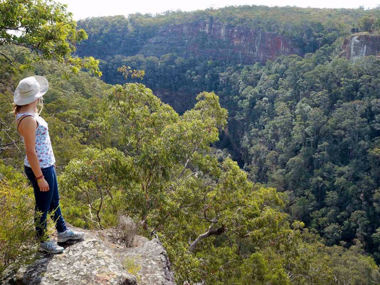 Glenbrook Gorge track, Blue Mountains National Park. Photo: Steve Alton/NSW Government