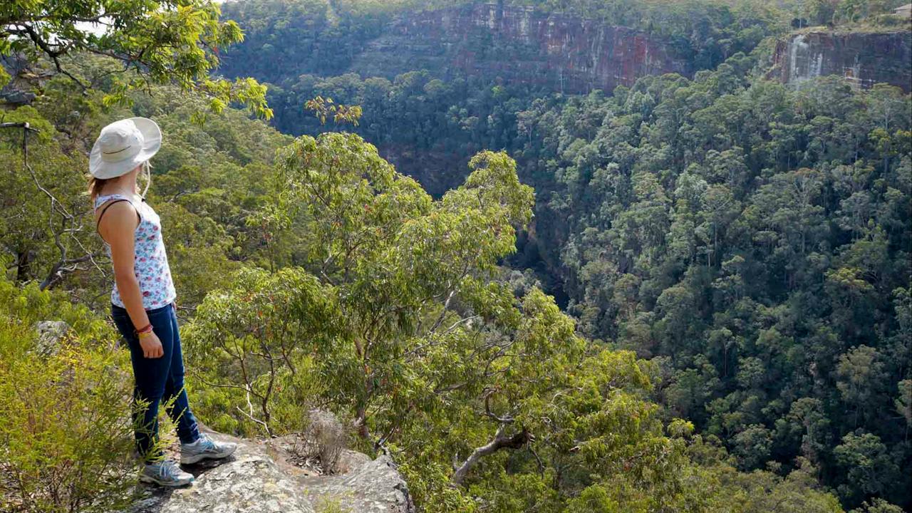 Glenbrook Gorge Track